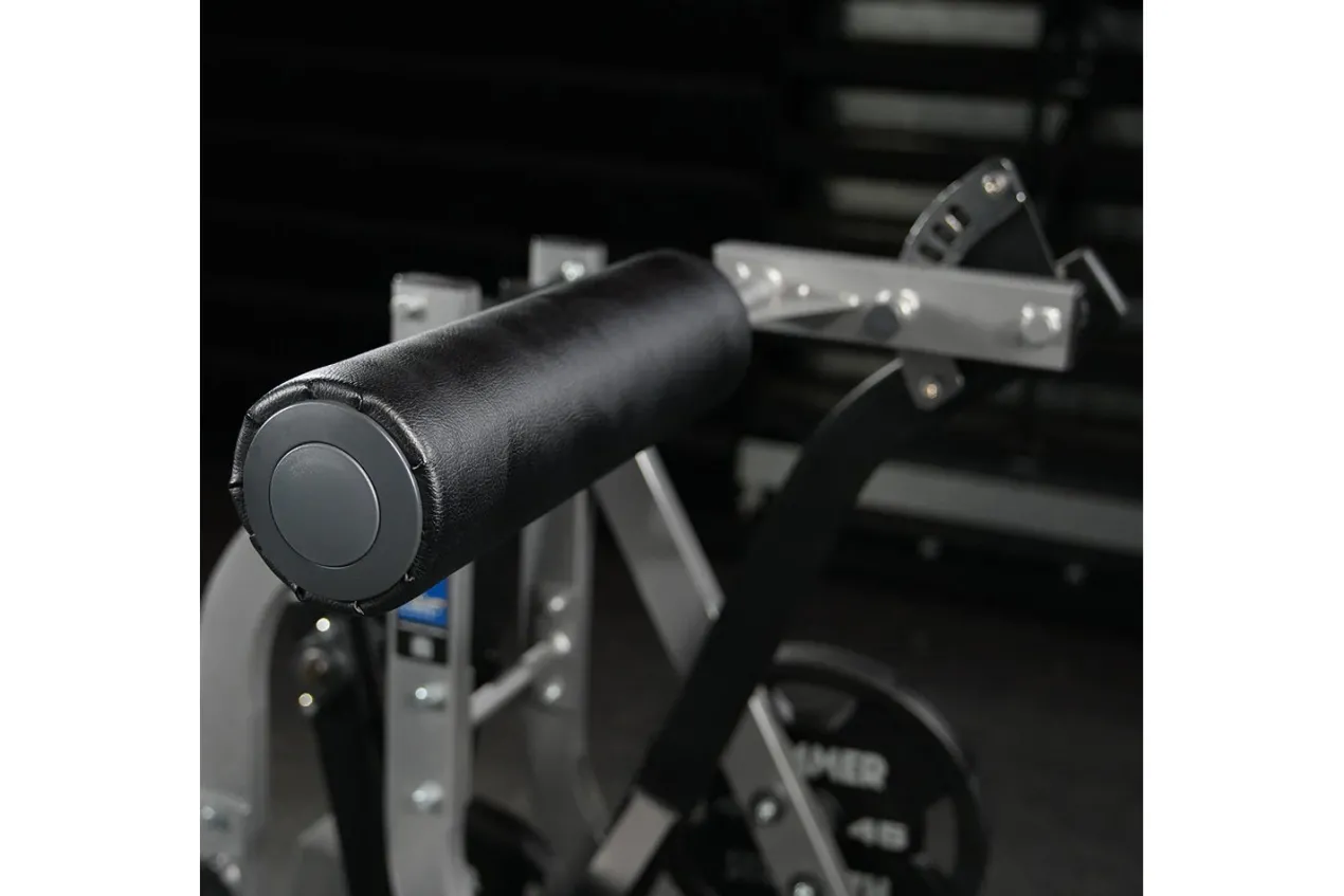 Hammer Strength Assisted Nordic Ham