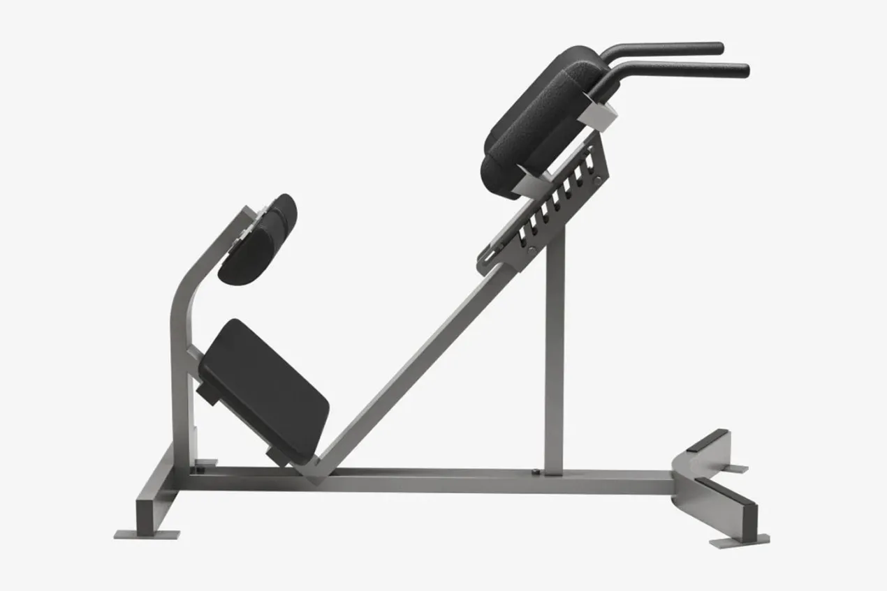 Hammer Strength Back Extension