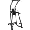 Hammer Strength Chin/Dip/Leg Raise