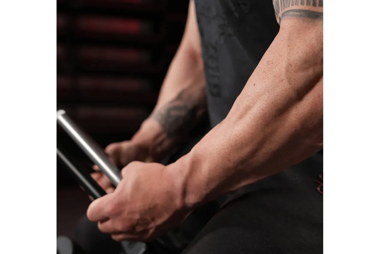 Hammer Strength Plate-Loaded Gripper