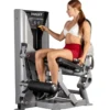 Hoist ROC-IT Leg Extension Machine (RS-2401)