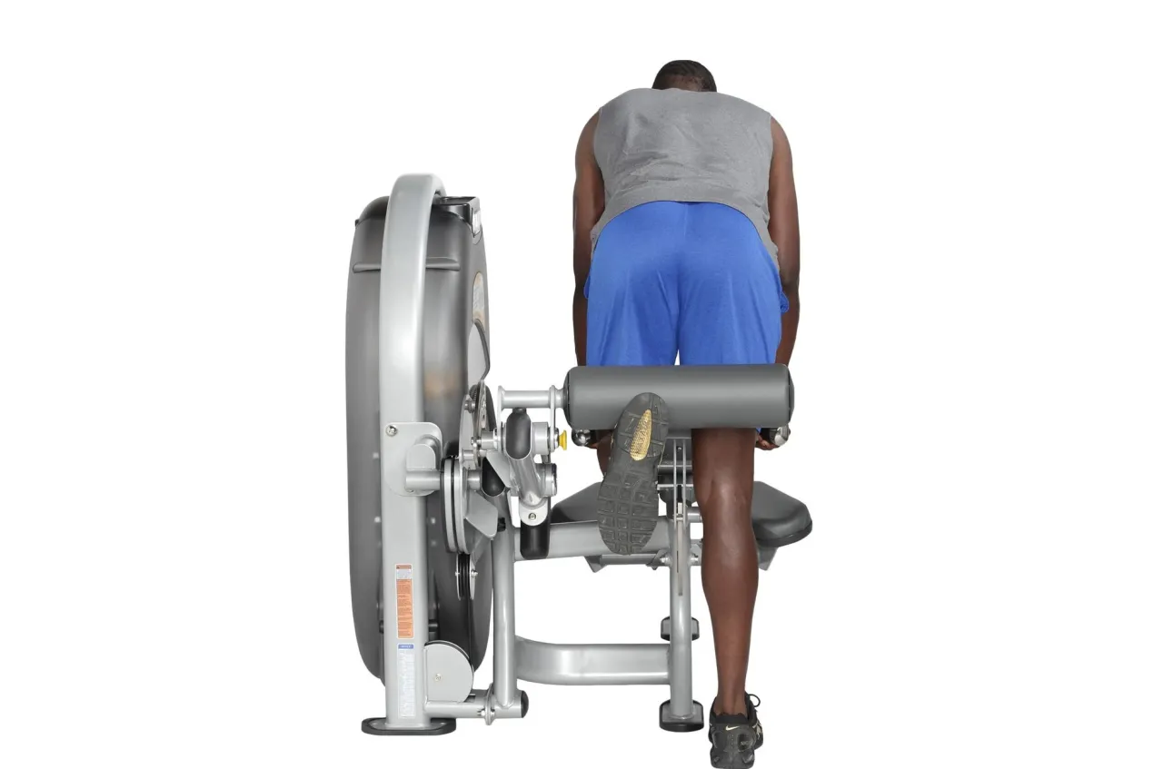 Hoist Standing / Prone Leg Curl (CL-3408)