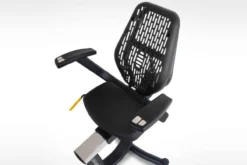 LifeSpan R5i Recumbent Exercise Bike