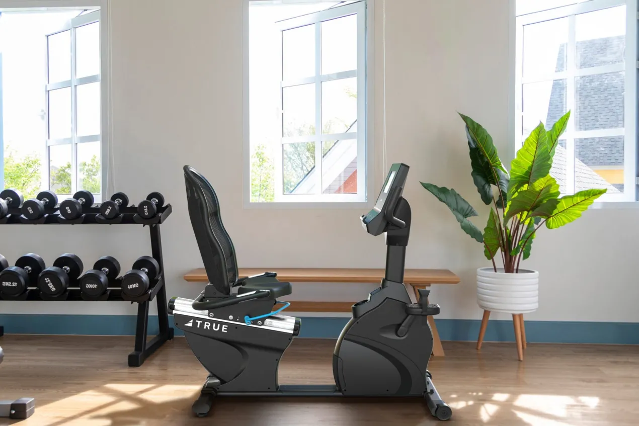TRUE Performance Series Recumbent Exercise Bike