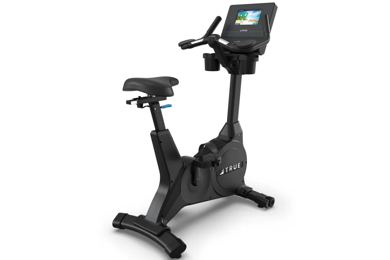 TRUE Performance Series Upright Exercise Bike