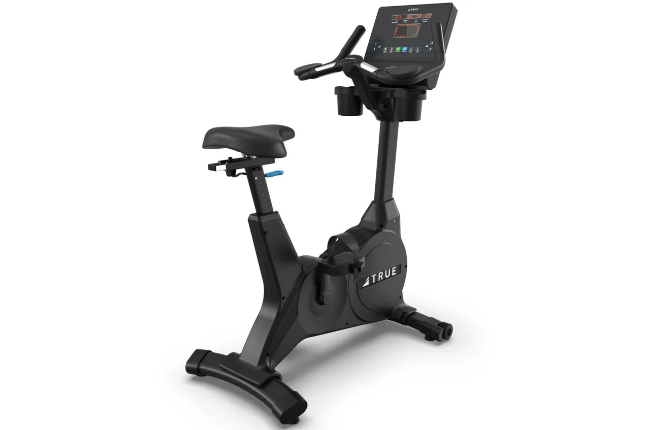 TRUE Performance Series Upright Exercise Bike