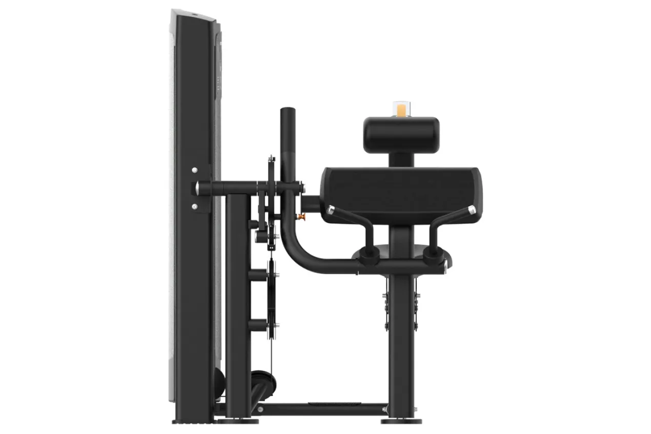 Warrior Elite Commercial Series Seated Arm Curl/Extension (🧨JULY 4th SALE - Extra 5%)