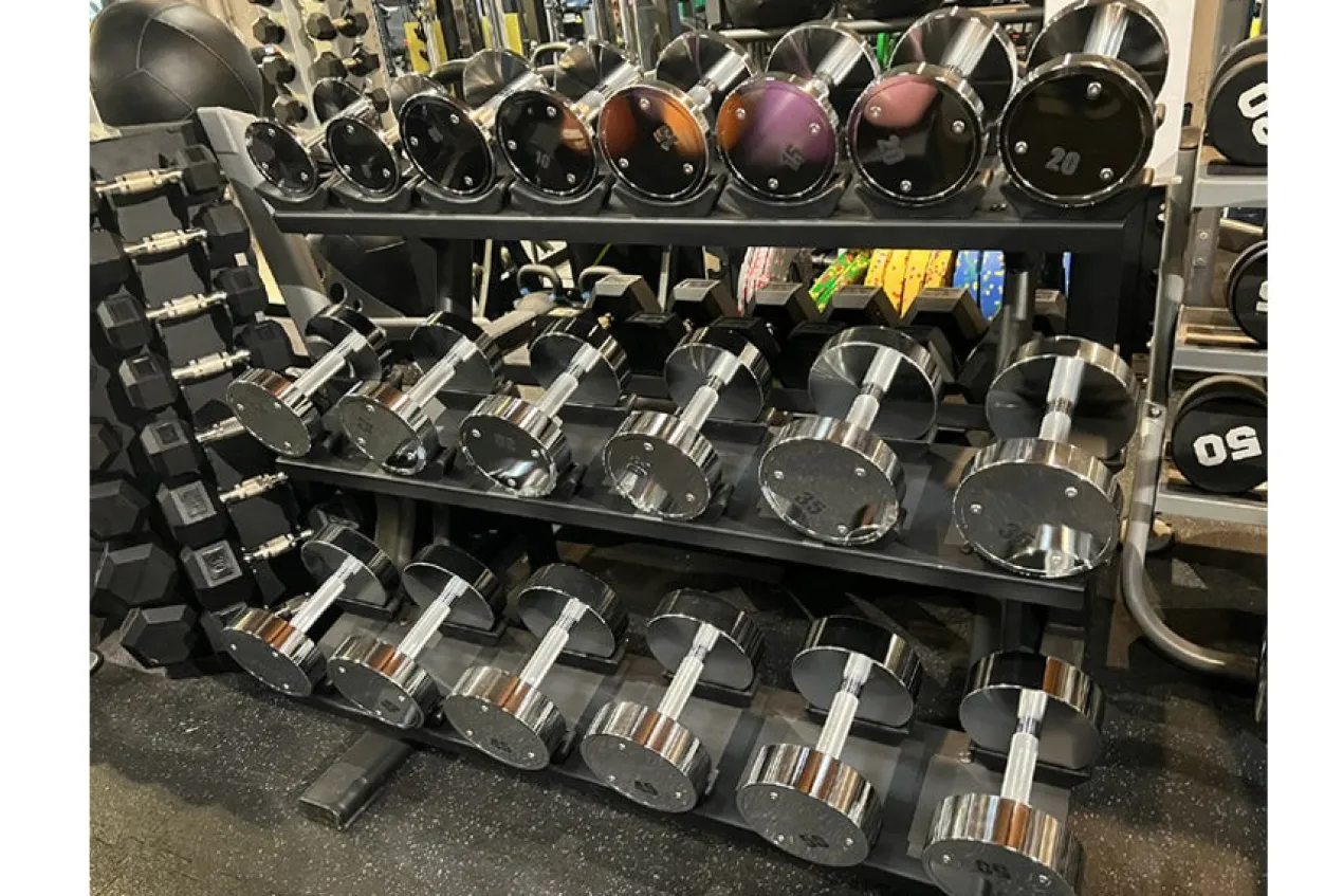 Warrior Pro-Style Chrome Dumbbell Set (5-50lb)
