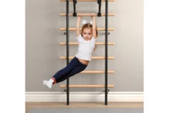 Warrior Swedish Stall Bars/Ladder
