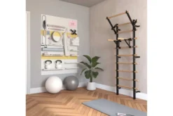 Warrior Swedish Stall Bars/Ladder