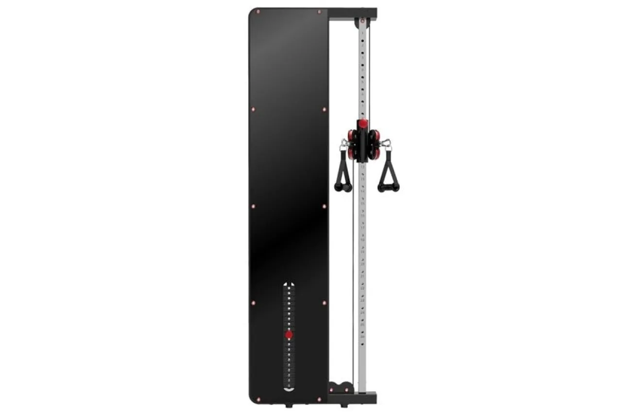 Warrior Wall Mounted Cable Pulley Home Gym System (Single Stack)